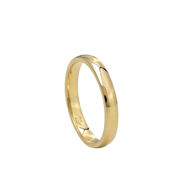 ALYANS - Matched Destiny